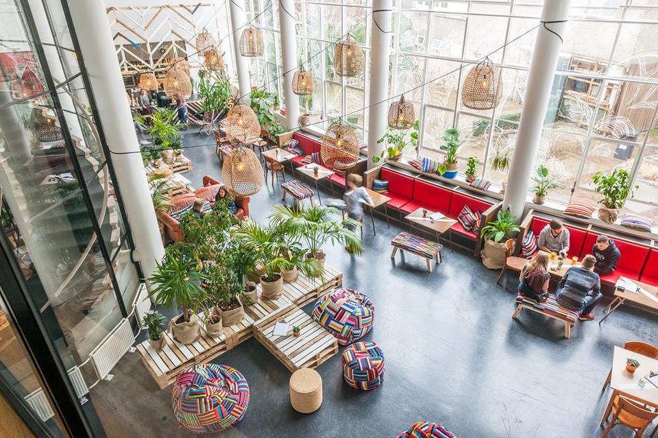 Karibu Café, Karibu Café, een oase van groen in de verstening van de stad, Makelaar in Utrecht