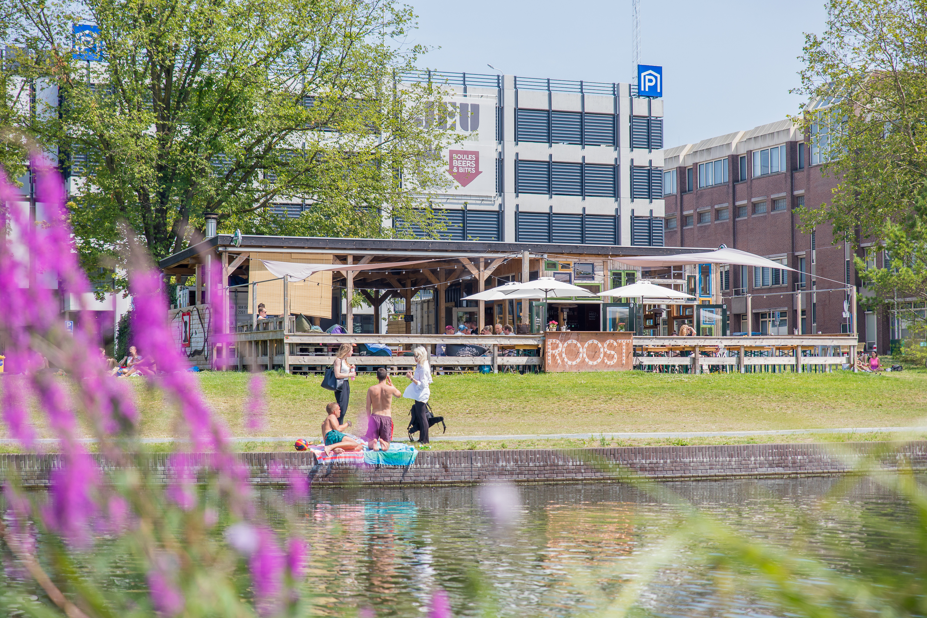 Daalsebuurt, Makelaar in Utrecht