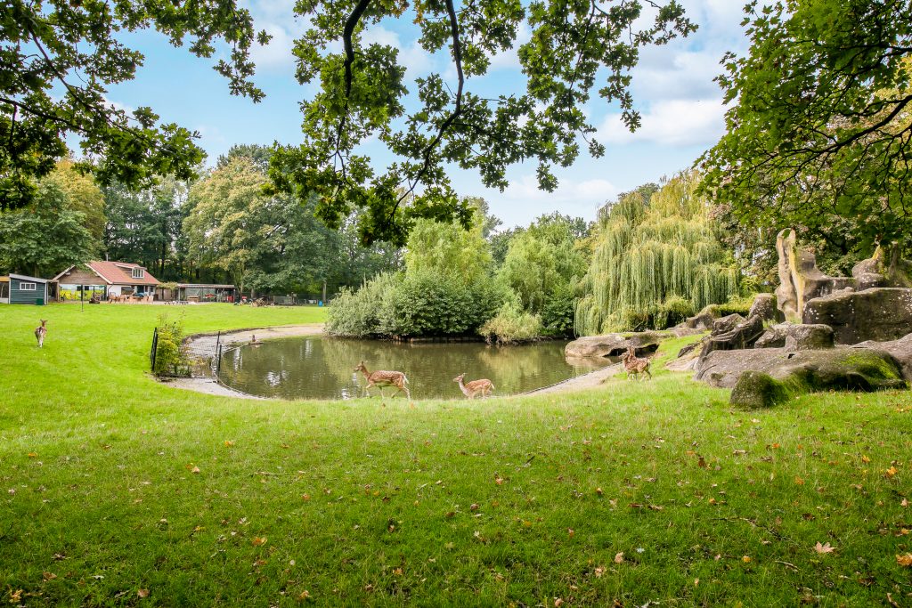 Julianapark, Julianapark: voor velen onbekend, maar zeker niet onbemind, Makelaar in Utrecht