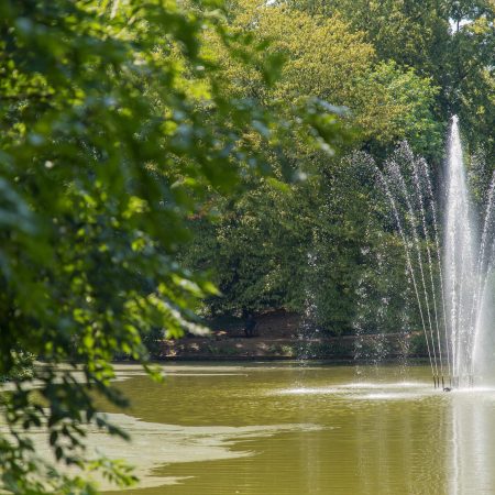 makelaar Daalsebuurt, Makelaar in de Daalsebuurt, Makelaar in Utrecht